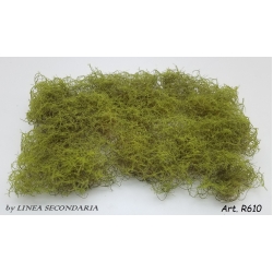 Rovi/Cesp verde chiaro aghifoglie
